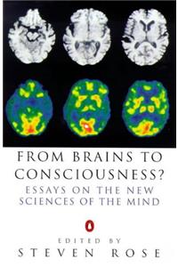 From Brains to Consciousness?