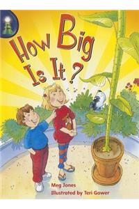 Rigby Lighthouse: Individual Student Edition (Levels J-M) How Big Is It?