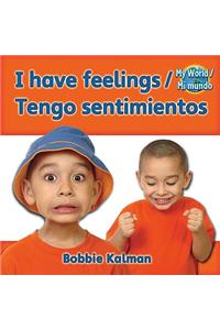 I Have Feelings (Tengo Sentimientos) Bilingual
