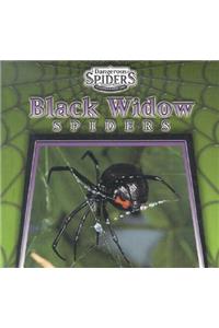 Black Widow Spiders