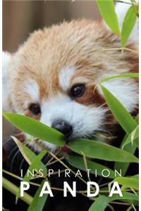Inspiration Panda