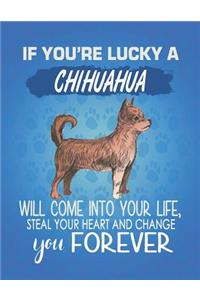 If You're Lucky A Chihuahua Will Come Into Your Life, Steal Your Heart And Change You Forever