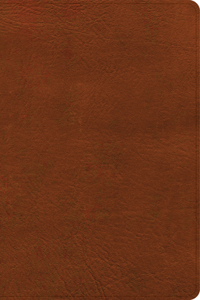 NASB Large Print Personal Size Reference Bible, Burnt Sienna Leathertouch, Indexed