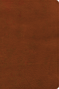 NASB Large Print Personal Size Reference Bible, Burnt Sienna Leathertouch, Indexed