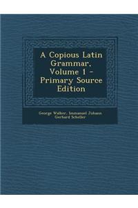 A Copious Latin Grammar, Volume 1 - Primary Source Edition