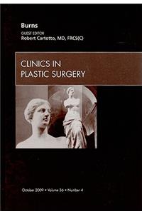 Burns, an Issue of Clinics in Plastic Surgery