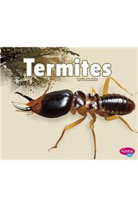 Termites