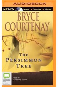 Persimmon Tree