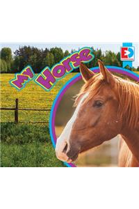 My Horse