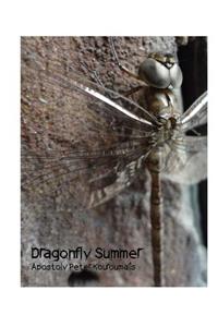 Dragonfly Summer