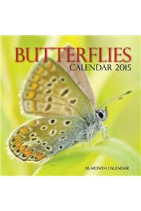 Butterflies Calendar 2015