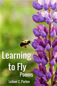 Learning to Fly