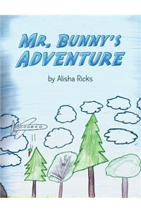 Mr. Bunny's Adventure