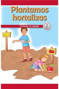 Plantamos Hortalizas: Trabajar En Equipo (We Plant Vegetables: Working as a Team)