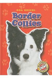 Border Collies