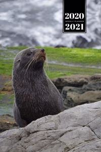 Seal Manatee Sea Lion Cow Walrus Dugong Week Planner Weekly Organizer Calendar 2020 / 2021 - Mountain Scenery