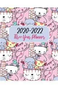 2020-2022 Three Year Planner