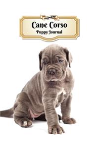 2020 Cane Corso Puppy Journal