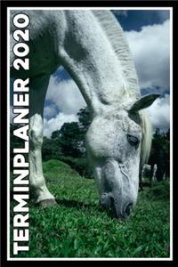 Terminplaner 2020