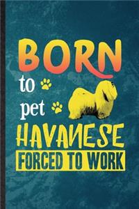 Born to Pet Havanese Forced to Work