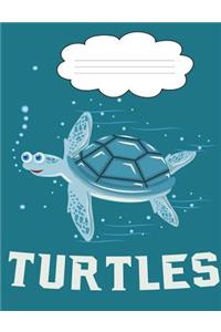 Turtle