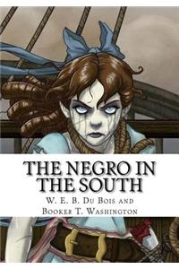 The Negro in the South