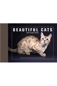 Beautiful Cats Postcard Book