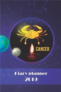 Diary Planner 2019