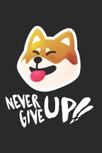 Never Give Up