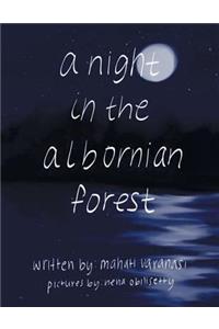 Night in the Albornian Forest