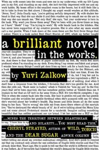 Brilliant Novel in the Works