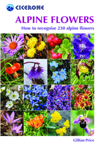 Alpine Flowers: How to Recognize Over 200 Alpine Flowers