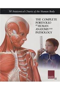 Complete Portfolio of Human Anatomy & Pathology