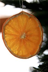 Dried Orange Slice Natural Ornament Journal
