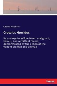 Crotalus Horridus