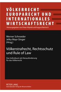 Voelkerstrafrecht, Rechtsschutz Und Rule of Law