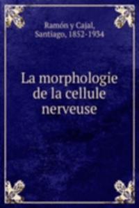 La morphologie de la cellule nerveuse