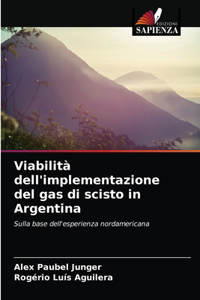 Viabilità dell'implementazione del gas di scisto in Argentina