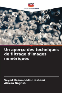 aperçu des techniques de filtrage d'images numériques
