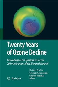 Twenty Years of Ozone Decline