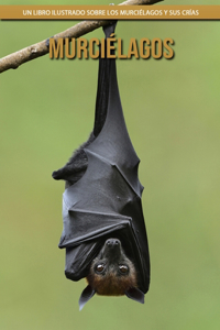 Murciélagos