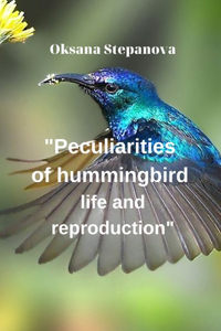 Peculiarities of hummingbird life and reproduction
