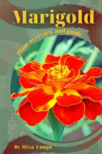 Marigold