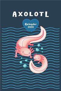 Axolotl Kalender 2020 für Liebhaber der kleine Schwanzlurche aus Mittelamerika