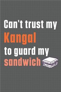 Can't trust my Kangal to guard my sandwich