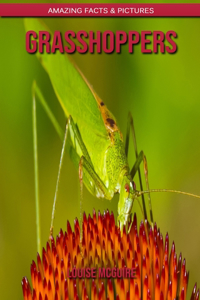 Grasshoppers