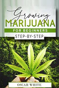 Growing Marijuana for Beginners