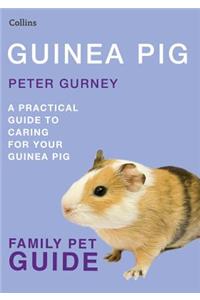 Guinea Pig