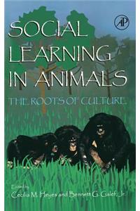 Social Learning in Animals