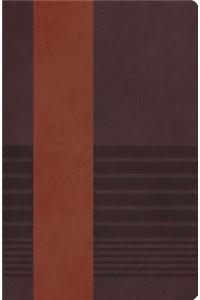 NKJV Study Bible, Leathersoft, Brown, Indexed